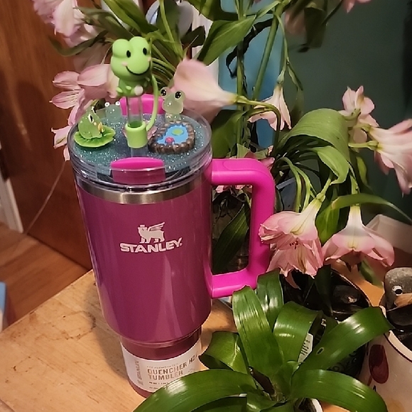 40 Oz Stanley Purple Tumbler with Pink Handle and Frog Lid - Picture 2 of 12